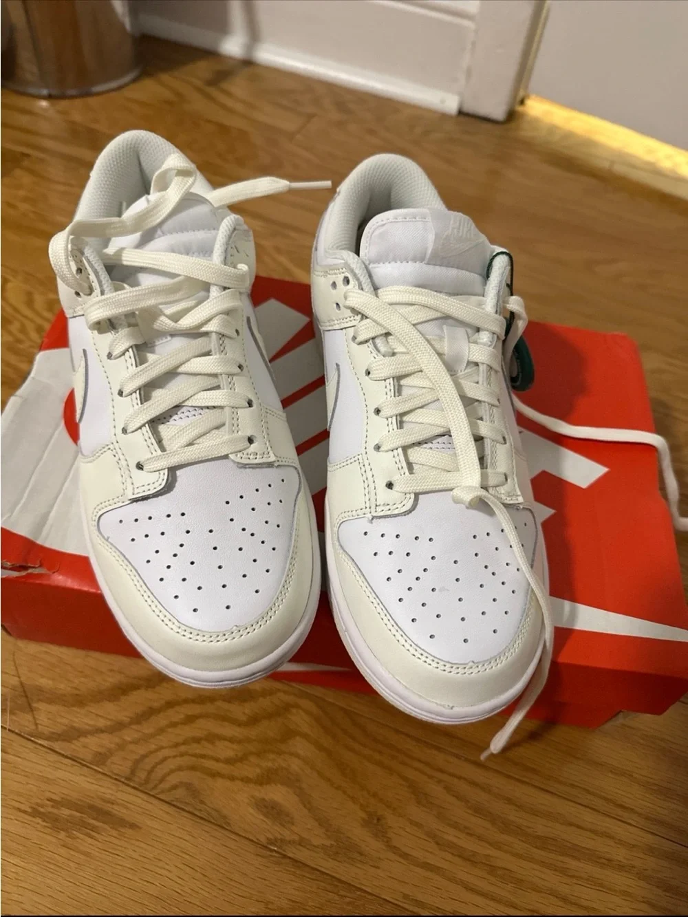 Nike low top